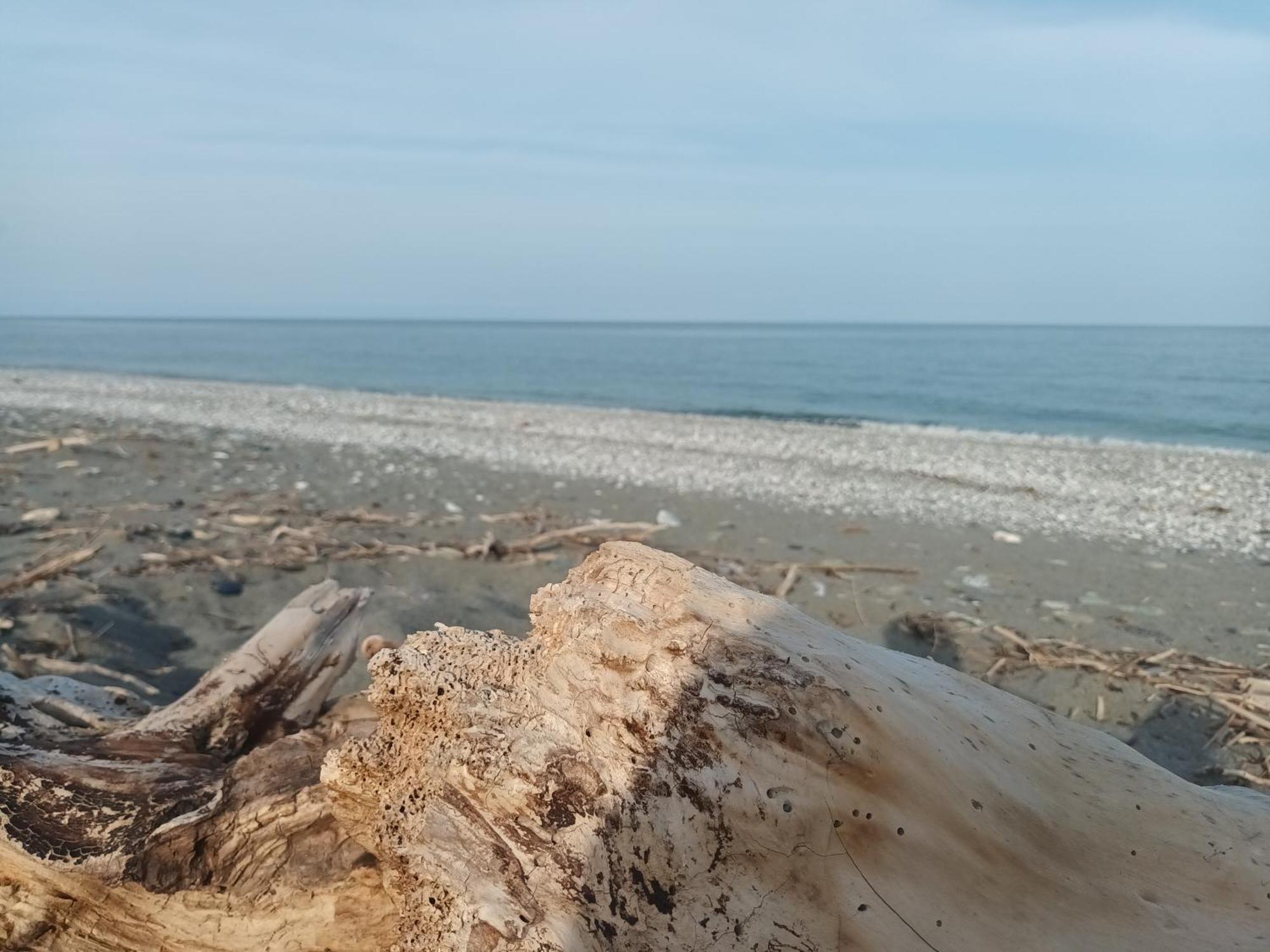 Velika Beach Rooms ภายนอก รูปภาพ